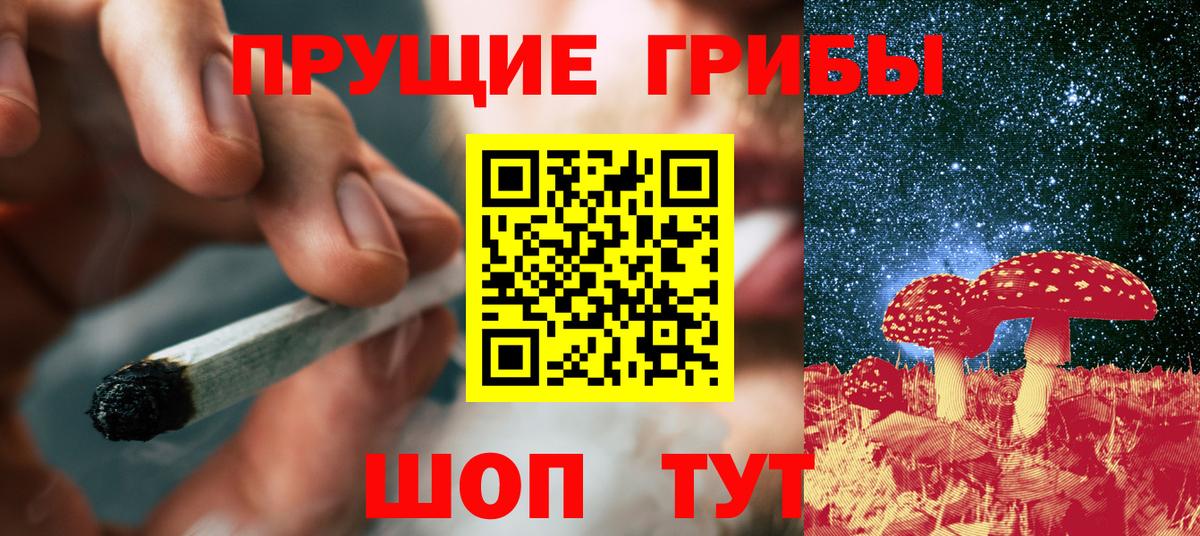 Псилоцибиновые грибы GOLDEN TEACHER  Вход с VPN  Сальск 