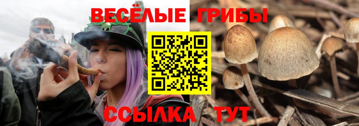Галлюциногенные грибы ЛСД Сальск
